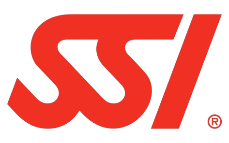 Logo SSI