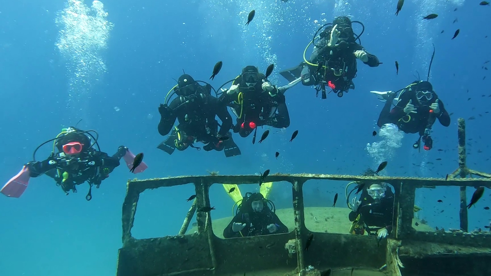 Avistamiento de tortuga
