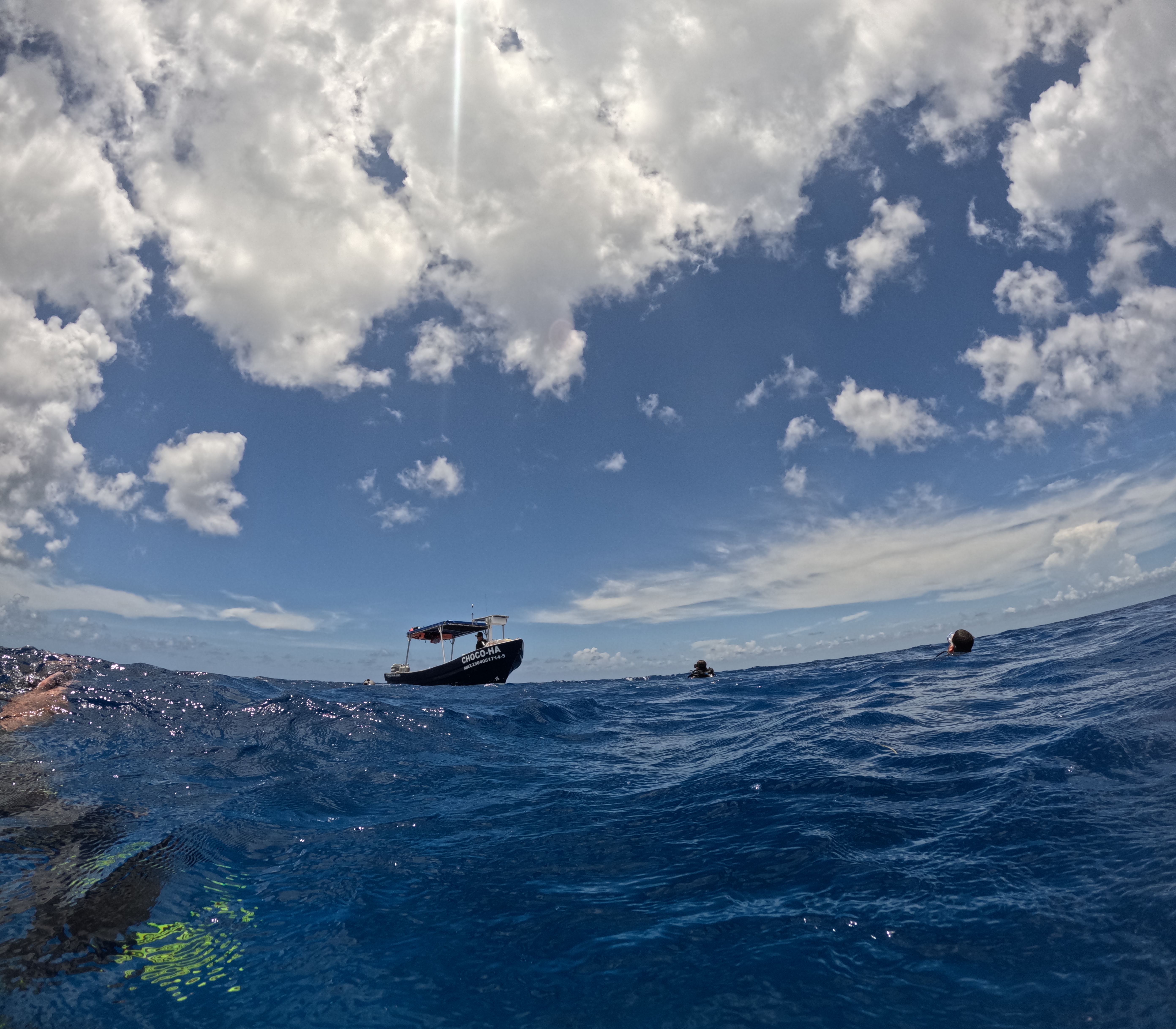 Tirándonos de espalda