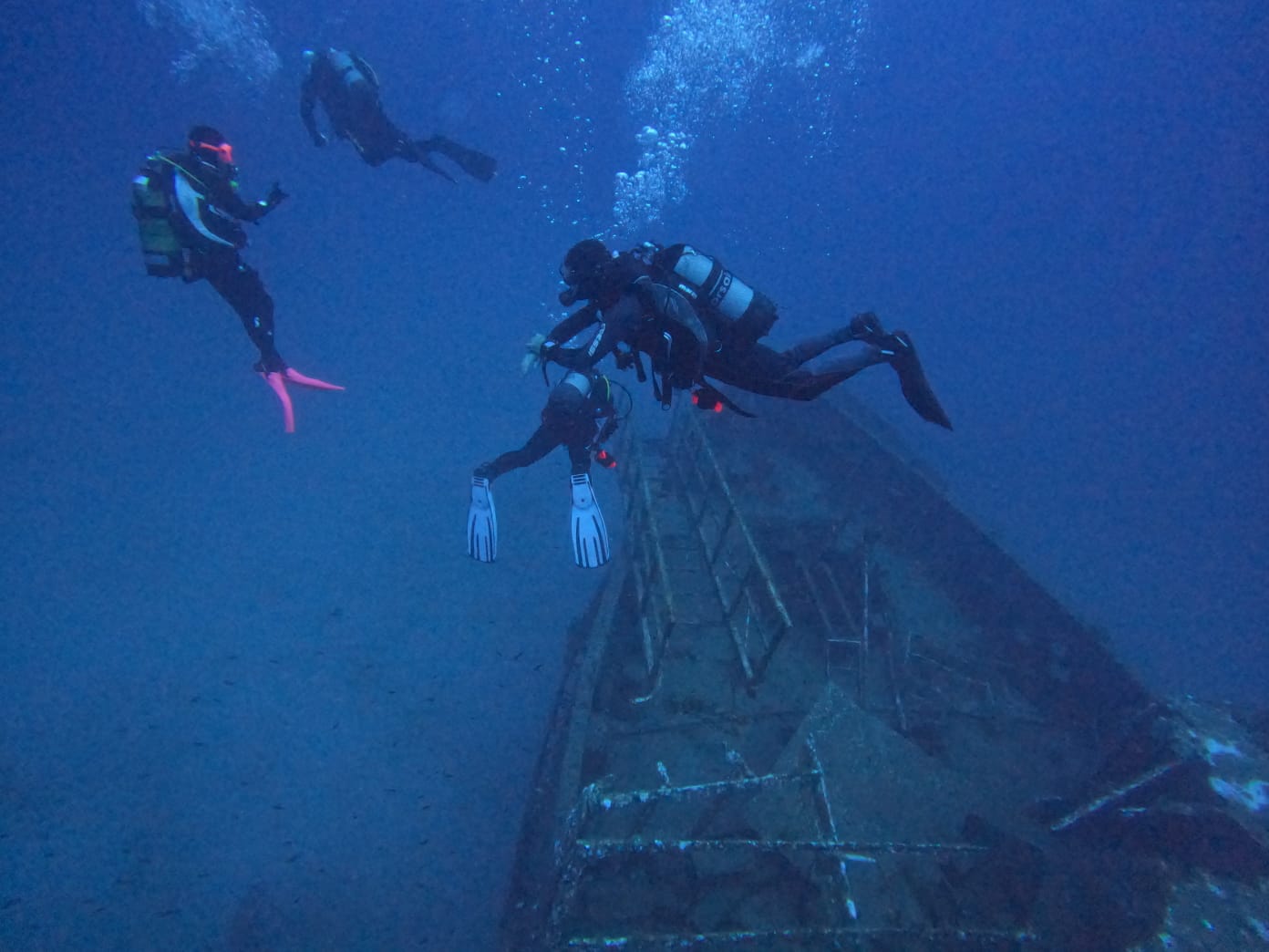He encontrado a Nemo y su anémona